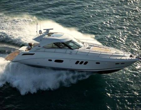 Sea Ray:   